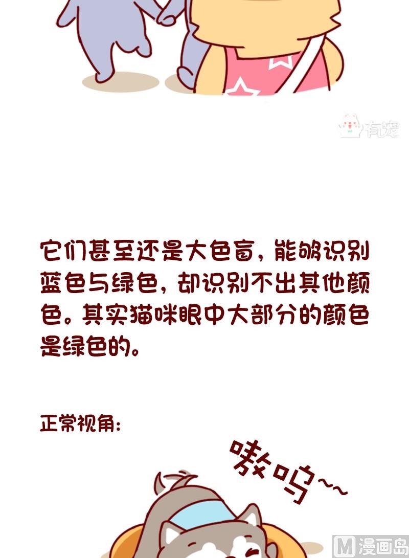 🍜有宠百科 第83话 第3页