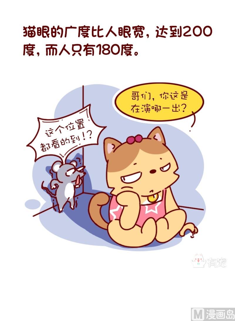 🍜有宠百科 第83话 第5页