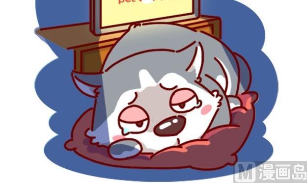🍜有宠百科 第85话 第12页
