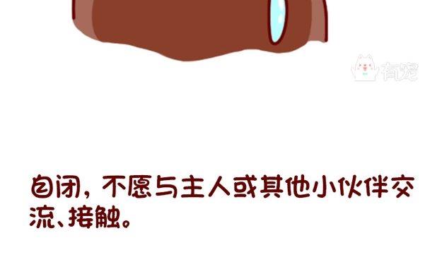 🍜有宠百科 第85话 第19页