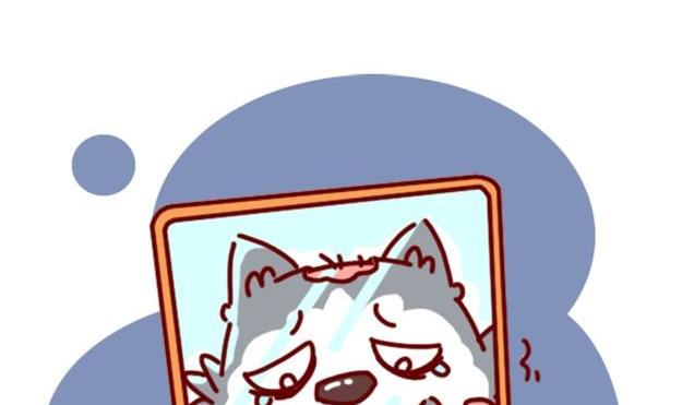 🍜有宠百科 第85话 第26页