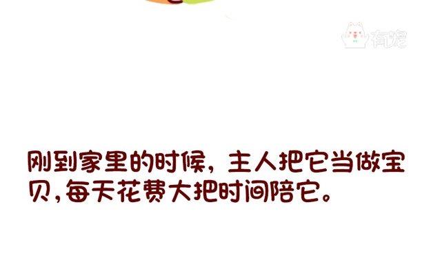🍜有宠百科 第85话 第4页