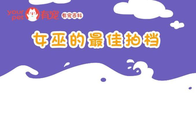 🍜有宠百科 第87话 第1页