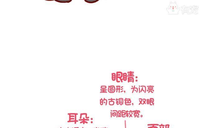 🍜有宠百科 第87话 第13页