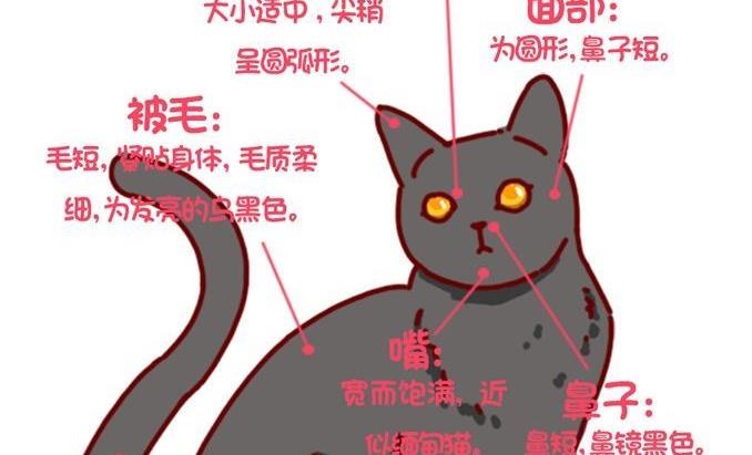 🍜有宠百科 第87话 第14页