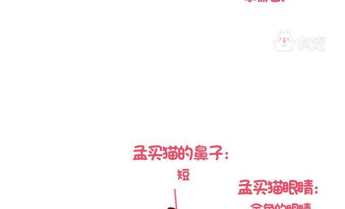 🍜有宠百科 第87话 第16页
