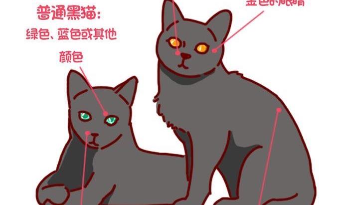 🍜有宠百科 第87话 第17页