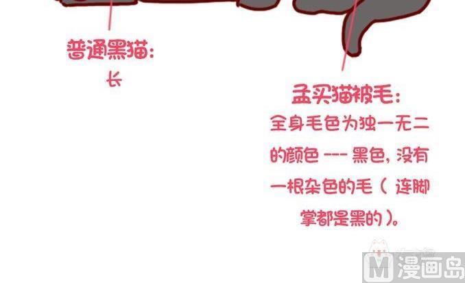 🍜有宠百科 第87话 第18页