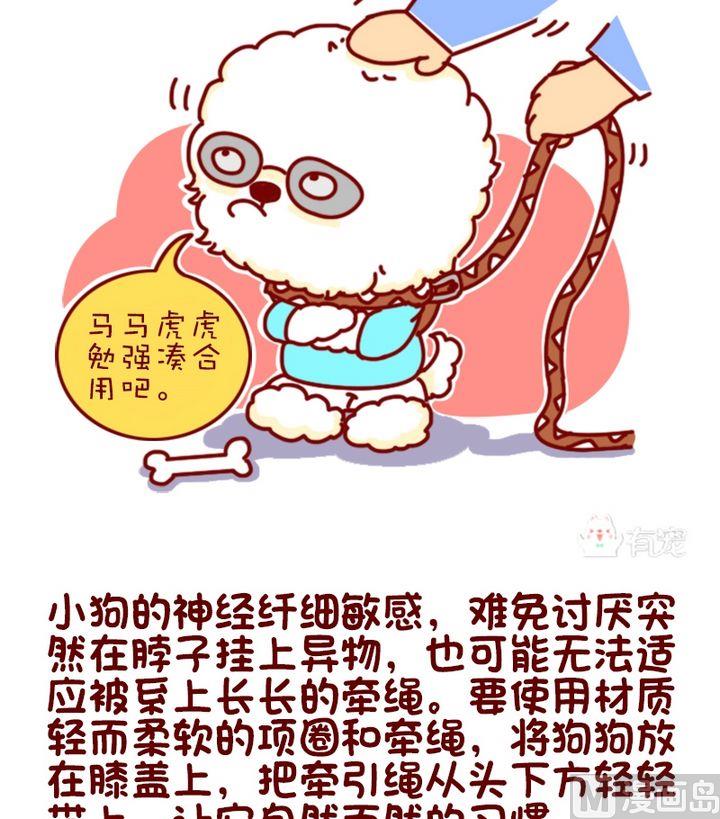 🍜有宠百科 第89话 第3页
