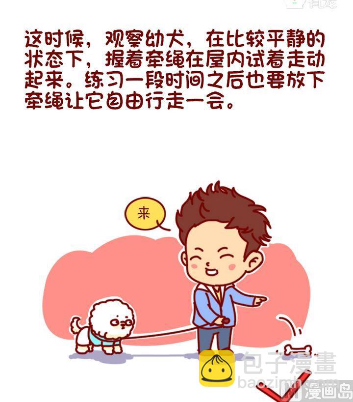 🍜有宠百科 第89话 第5页