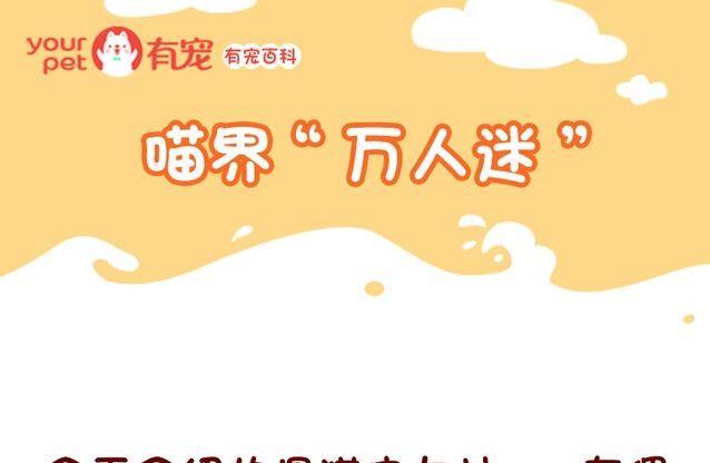 🍜有宠百科 第91话 第1页