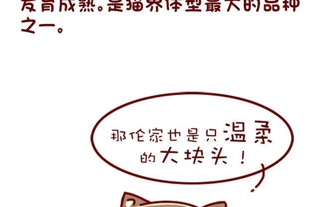 🍜有宠百科 第91话 第10页