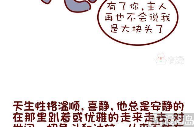 🍜有宠百科 第91话 第12页