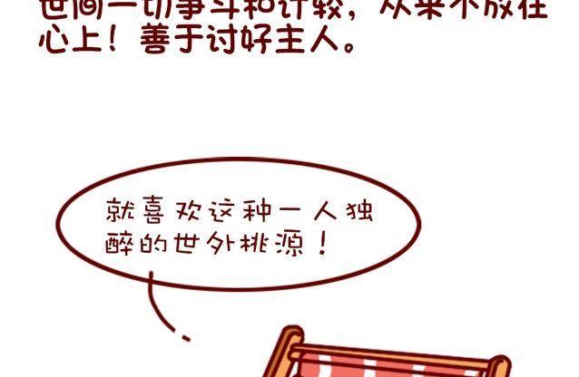 🍜有宠百科 第91话 第13页