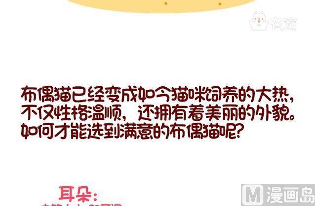 🍜有宠百科 第91话 第15页