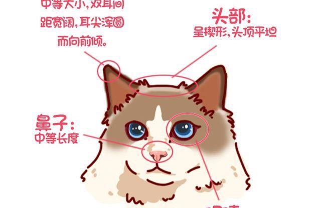 🍜有宠百科 第91话 第16页
