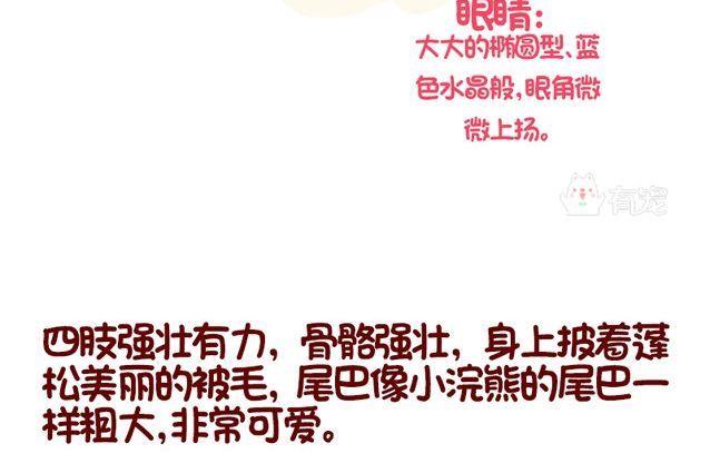 🍜有宠百科 第91话 第17页