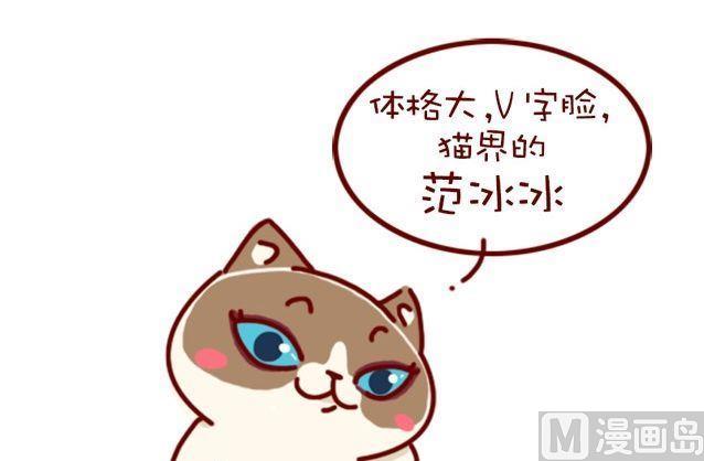 🍜有宠百科 第91话 第18页