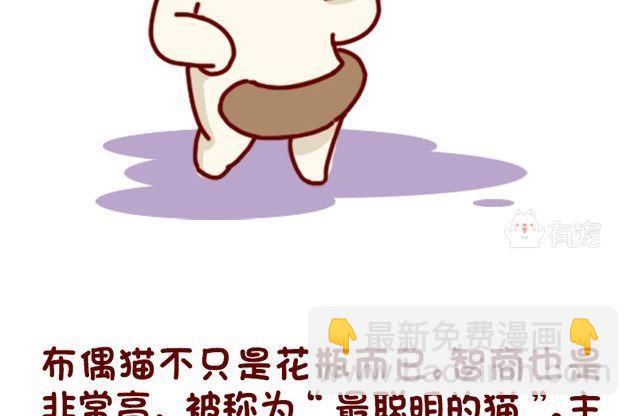 🍜有宠百科 第91话 第19页