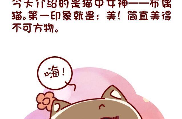 🍜有宠百科 第91话 第2页