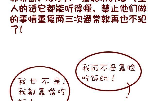 🍜有宠百科 第91话 第20页