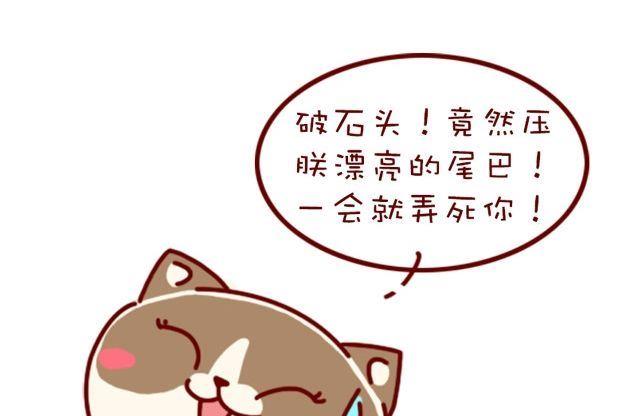 🍜有宠百科 第91话 第23页