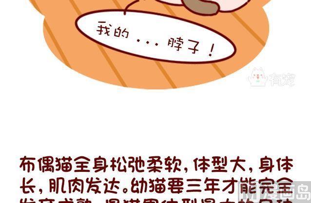 🍜有宠百科 第91话 第9页