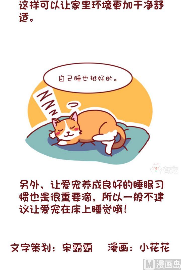 🍜有宠百科 第93话 第6页