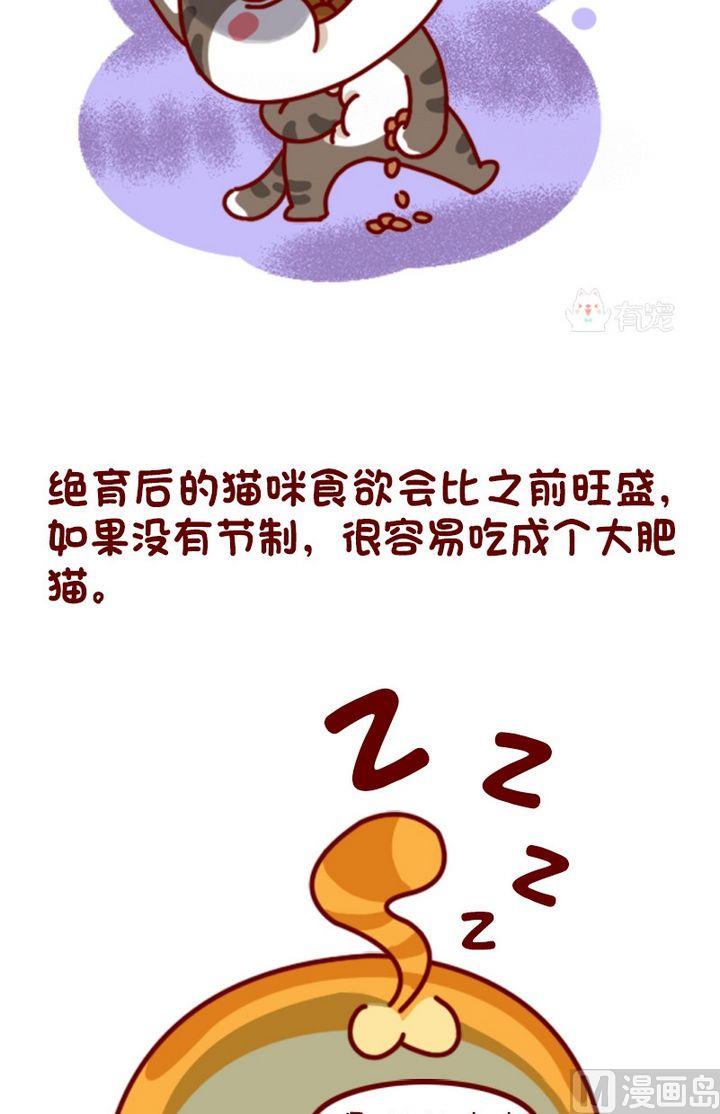 🍜有宠百科 第95话 第3页