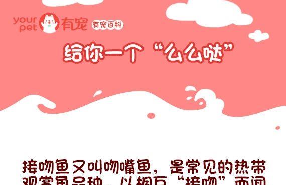 🍜有宠百科 第97话 第1页