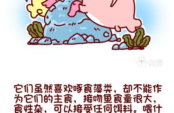 🍜有宠百科 第97话 第11页