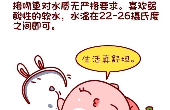 🍜有宠百科 第97话 第14页