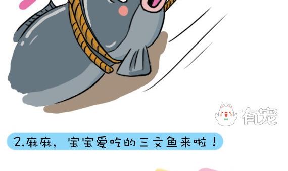第15话-第15话