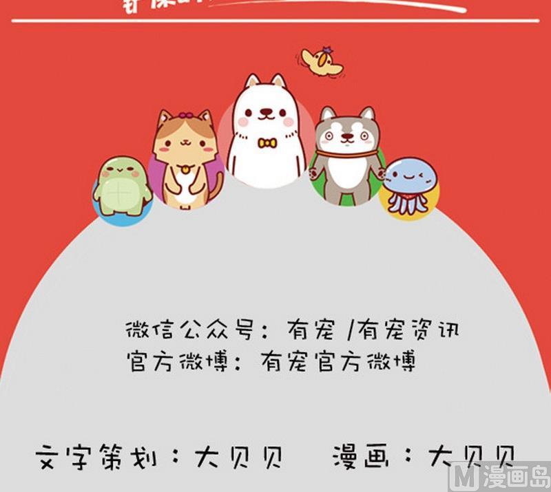 第17话-第17话