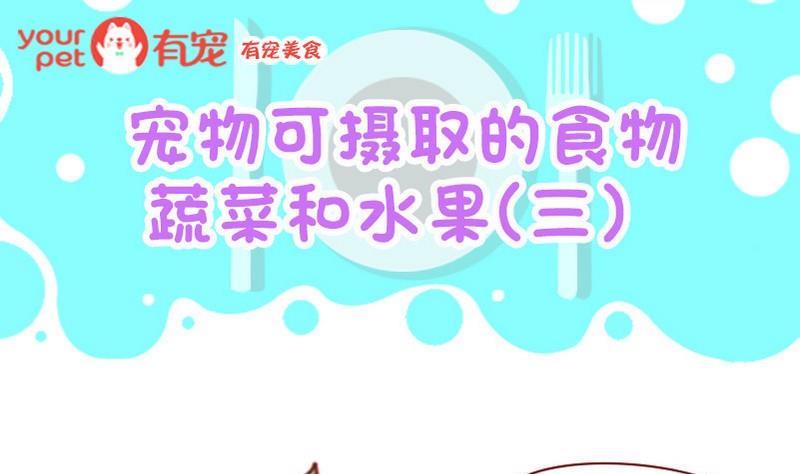 第25话-第25话