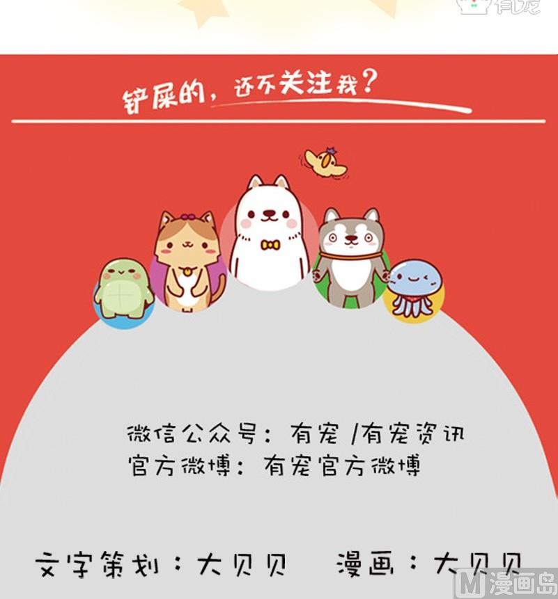 第31话-第31话