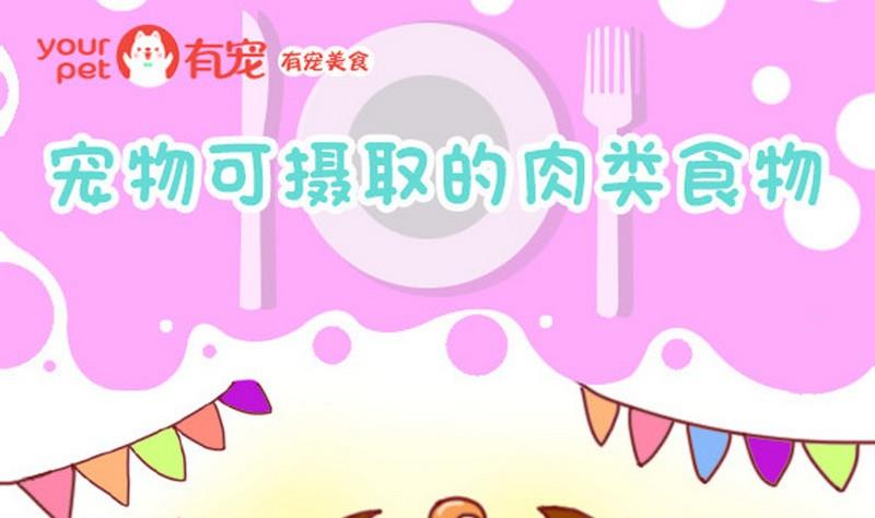 第5话-第5话