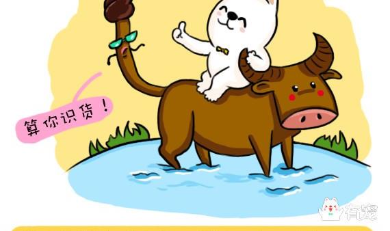 第9话-第9话