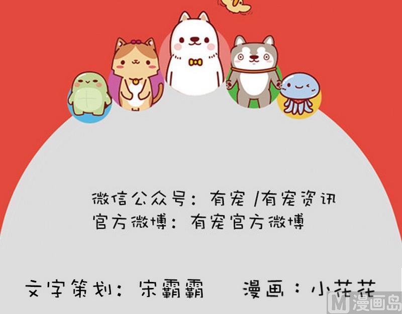 第11话-第11话