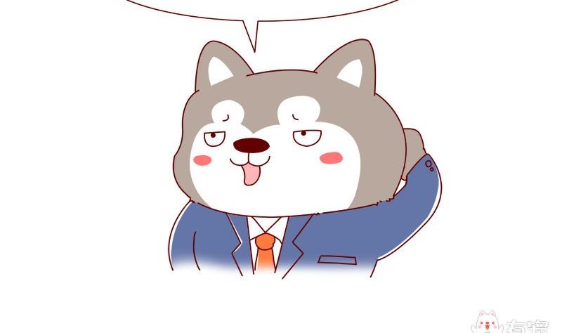 第11话-第11话