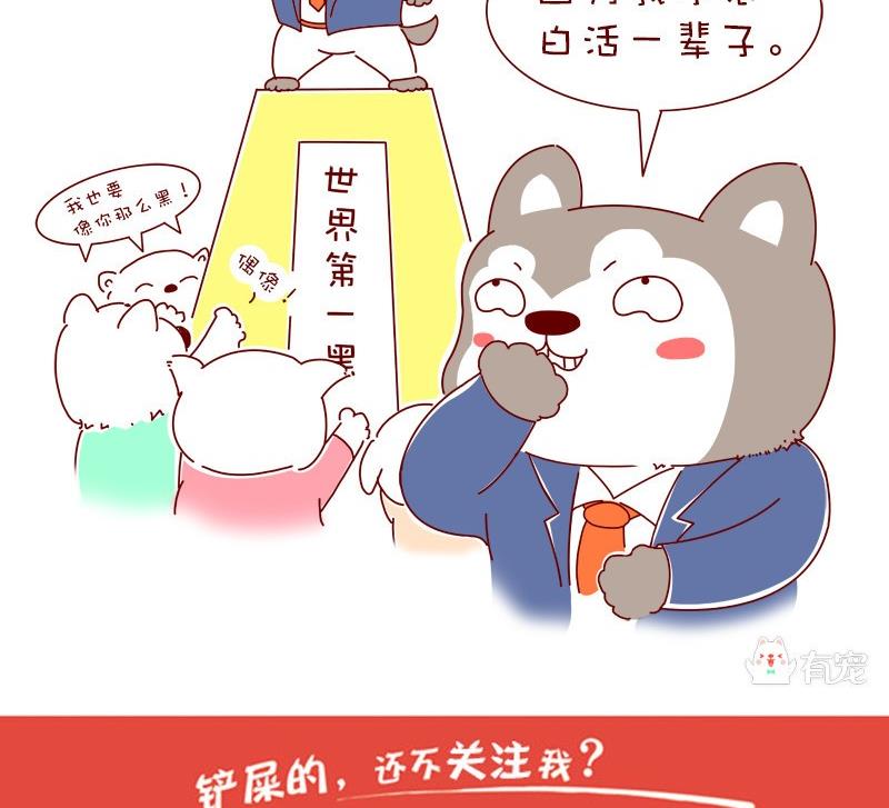 第11话-第11话