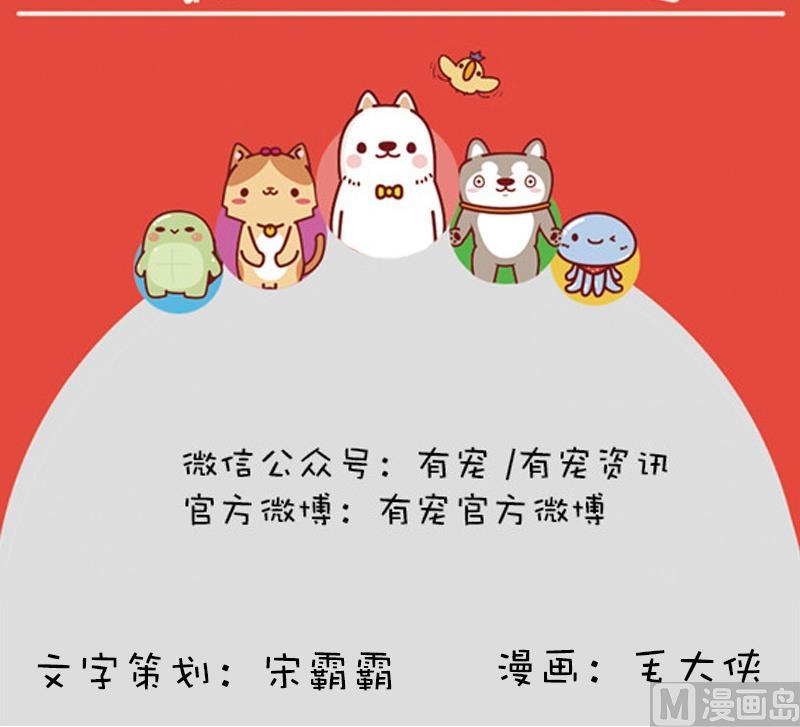 第11话-第11话