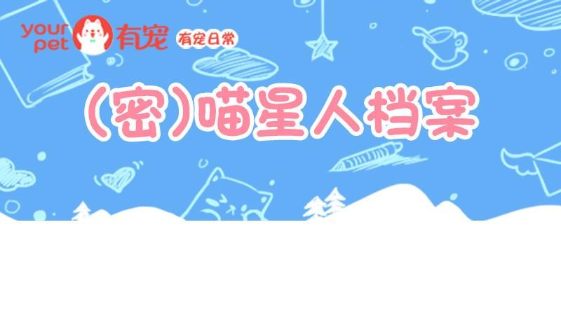 第13话-第13话