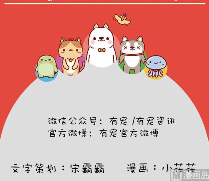 第13话-第13话