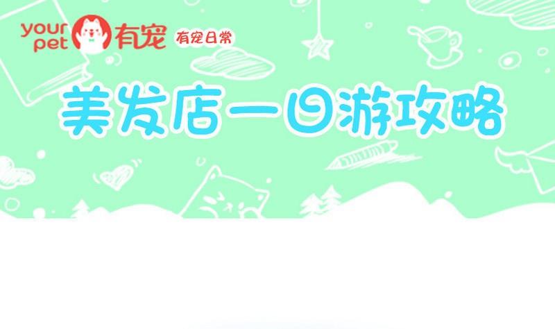 第15话-第15话