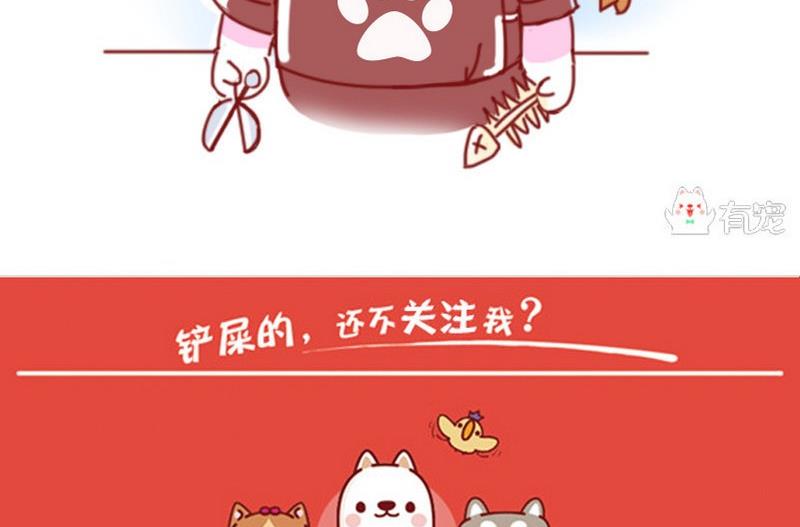 第15话-第15话