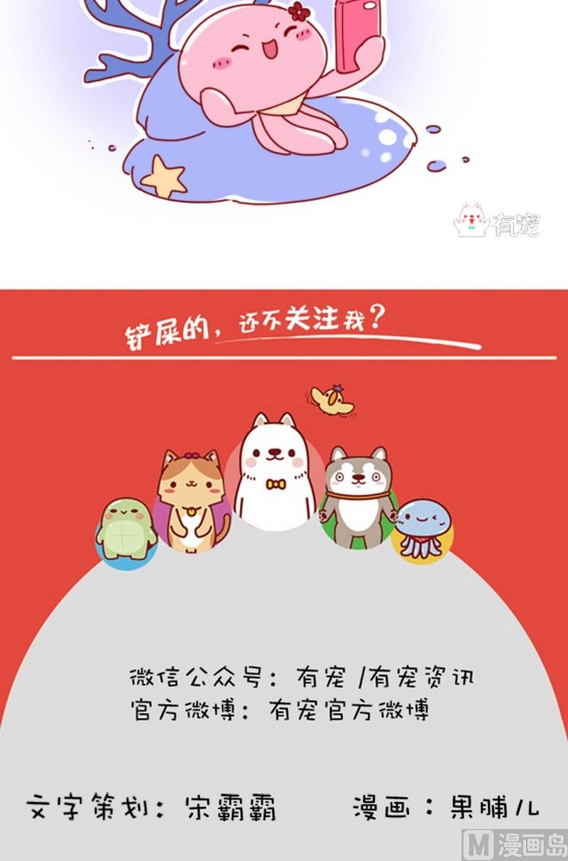 第17话-第17话