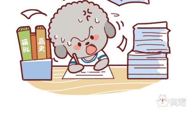 第19话-第19话