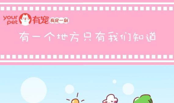 第3话-第3话