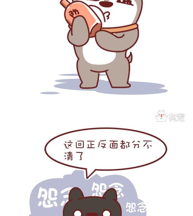 第33话-第33话